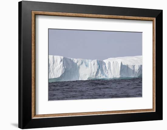 Icebergs, Kings Cove, Newfoundland, Canada-Greg Johnston-Framed Photographic Print