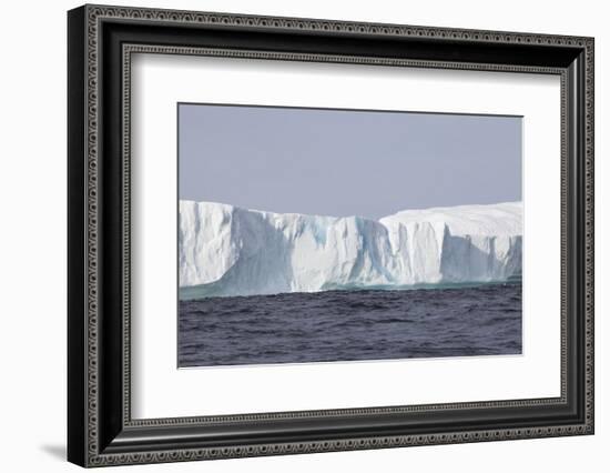 Icebergs, Kings Cove, Newfoundland, Canada-Greg Johnston-Framed Photographic Print