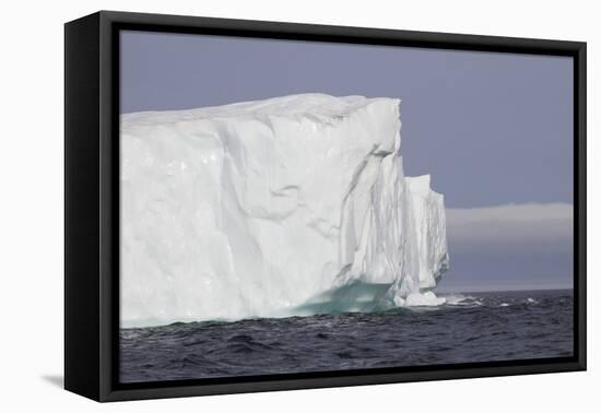 Icebergs, Kings Cove, Newfoundland, Canada-Greg Johnston-Framed Premier Image Canvas