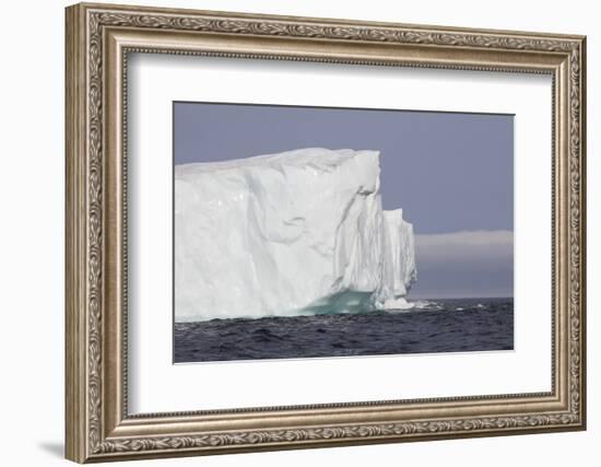 Icebergs, Kings Cove, Newfoundland, Canada-Greg Johnston-Framed Photographic Print