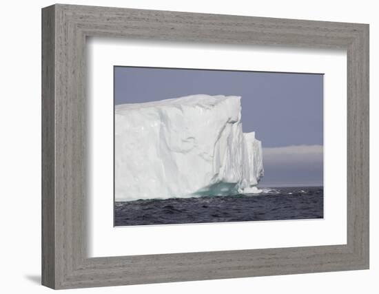 Icebergs, Kings Cove, Newfoundland, Canada-Greg Johnston-Framed Photographic Print