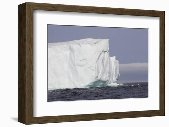 Icebergs, Kings Cove, Newfoundland, Canada-Greg Johnston-Framed Photographic Print