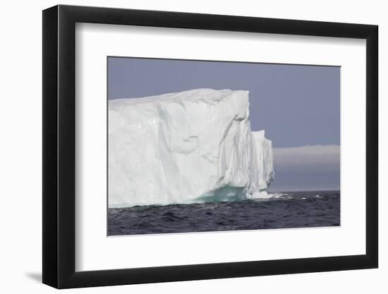 Icebergs, Kings Cove, Newfoundland, Canada-Greg Johnston-Framed Photographic Print