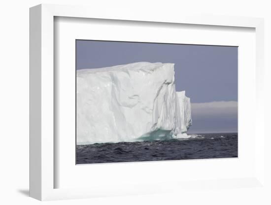 Icebergs, Kings Cove, Newfoundland, Canada-Greg Johnston-Framed Photographic Print