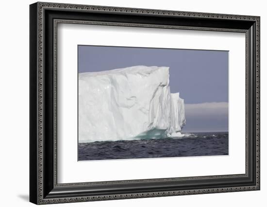 Icebergs, Kings Cove, Newfoundland, Canada-Greg Johnston-Framed Photographic Print