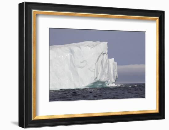 Icebergs, Kings Cove, Newfoundland, Canada-Greg Johnston-Framed Photographic Print