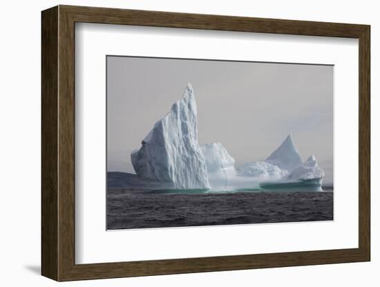 Icebergs, Kings Cove, Newfoundland, Canada-Greg Johnston-Framed Photographic Print