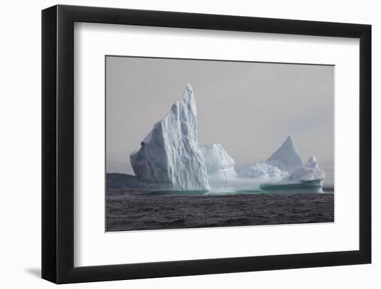 Icebergs, Kings Cove, Newfoundland, Canada-Greg Johnston-Framed Photographic Print