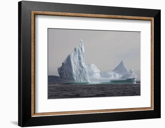 Icebergs, Kings Cove, Newfoundland, Canada-Greg Johnston-Framed Photographic Print