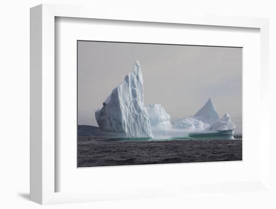 Icebergs, Kings Cove, Newfoundland, Canada-Greg Johnston-Framed Photographic Print