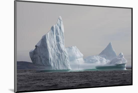 Icebergs, Kings Cove, Newfoundland, Canada-Greg Johnston-Mounted Photographic Print