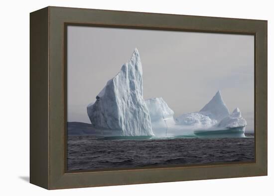 Icebergs, Kings Cove, Newfoundland, Canada-Greg Johnston-Framed Premier Image Canvas