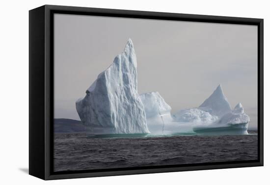 Icebergs, Kings Cove, Newfoundland, Canada-Greg Johnston-Framed Premier Image Canvas