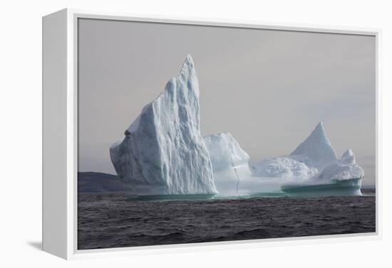 Icebergs, Kings Cove, Newfoundland, Canada-Greg Johnston-Framed Premier Image Canvas