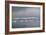 Icebergs Neko Harbour, Antarctica-Albert Knapp-Framed Photographic Print