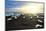 Icebergs on a black sand volcanic beach next to the Jokulsarlon glacial lake in Vatnajokull Nationa-Alex Robinson-Mounted Photographic Print