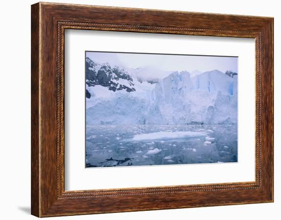 Icebergs Reflected in the Sea-DLILLC-Framed Photographic Print