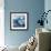 Icebergs Reflected in Water-null-Framed Photographic Print displayed on a wall