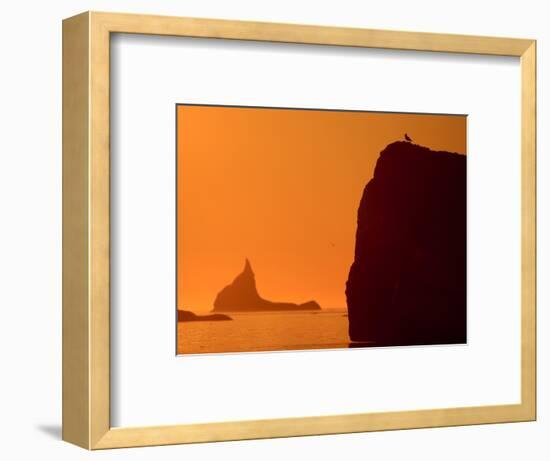 Icebergs Silhouetted at Sunset, Disko Bay, Greenland, August 2009-Jensen-Framed Photographic Print