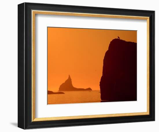 Icebergs Silhouetted at Sunset, Disko Bay, Greenland, August 2009-Jensen-Framed Photographic Print