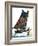 "Iceboat,"February 4, 1928-Eugene Iverd-Framed Giclee Print