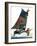 "Iceboat,"February 4, 1928-Eugene Iverd-Framed Giclee Print