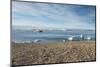 Icebreaker anchoring behind an iceberg, Paulet Island, Antarctica, Polar Regions-Michael Runkel-Mounted Photographic Print