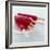 Iced Lollies-David Munns-Framed Photographic Print