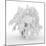 Iced Tree-Philippe Sainte-Laudy-Mounted Photographic Print