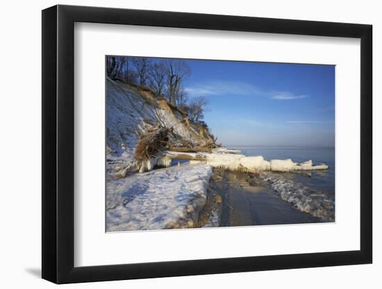 Iced Up Brodtener Ufer (Steep Coast) Near TravemŸnde in the Morning Light-Uwe Steffens-Framed Photographic Print