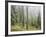 Iced Up Forest in the Wechsel Region, Lower Austria, Austria-Rainer Mirau-Framed Photographic Print