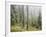 Iced Up Forest in the Wechsel Region, Lower Austria, Austria-Rainer Mirau-Framed Photographic Print