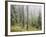 Iced Up Forest in the Wechsel Region, Lower Austria, Austria-Rainer Mirau-Framed Photographic Print