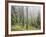 Iced Up Forest in the Wechsel Region, Lower Austria, Austria-Rainer Mirau-Framed Photographic Print