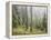 Iced Up Forest in the Wechsel Region, Lower Austria, Austria-Rainer Mirau-Framed Premier Image Canvas