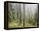 Iced Up Forest in the Wechsel Region, Lower Austria, Austria-Rainer Mirau-Framed Premier Image Canvas