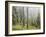 Iced Up Forest in the Wechsel Region, Lower Austria, Austria-Rainer Mirau-Framed Photographic Print