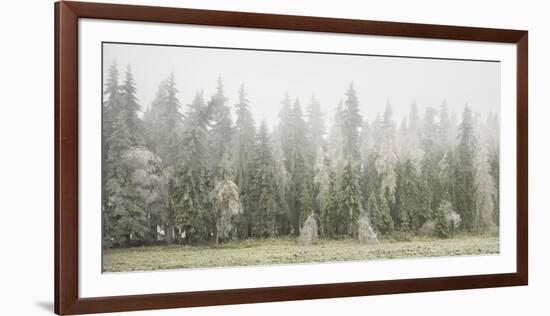 Iced Up Forest in the Wechsel Region, Lower Austria, Austria-Rainer Mirau-Framed Photographic Print