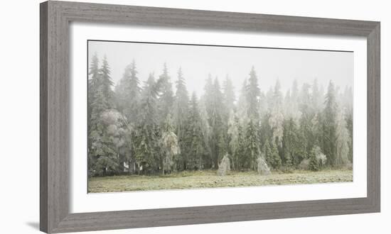 Iced Up Forest in the Wechsel Region, Lower Austria, Austria-Rainer Mirau-Framed Photographic Print