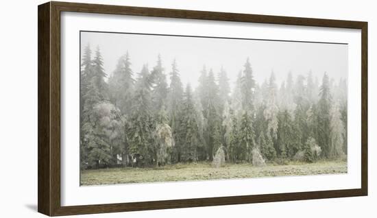 Iced Up Forest in the Wechsel Region, Lower Austria, Austria-Rainer Mirau-Framed Photographic Print