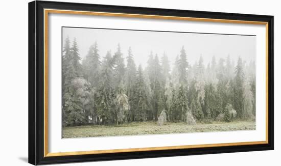 Iced Up Forest in the Wechsel Region, Lower Austria, Austria-Rainer Mirau-Framed Photographic Print