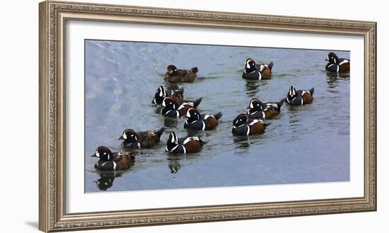 Iceland 5-Art Wolfe-Framed Photographic Print