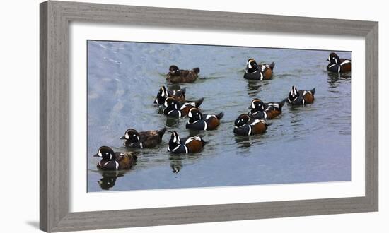 Iceland 5-Art Wolfe-Framed Photographic Print