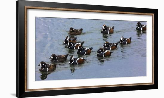 Iceland 5-Art Wolfe-Framed Photographic Print