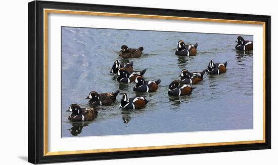 Iceland 5-Art Wolfe-Framed Photographic Print