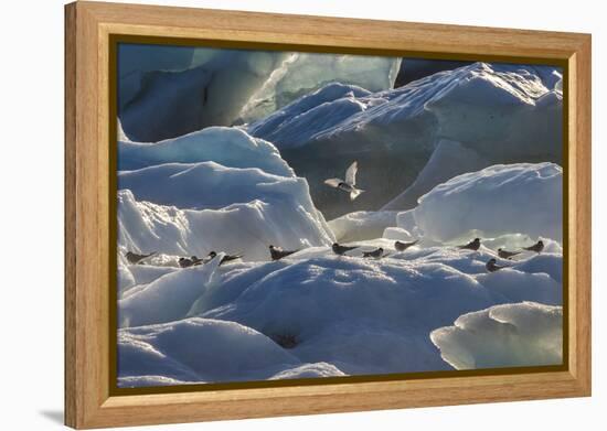 Iceland 6-Art Wolfe-Framed Premier Image Canvas