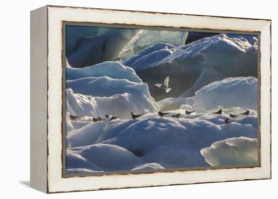 Iceland 6-Art Wolfe-Framed Premier Image Canvas
