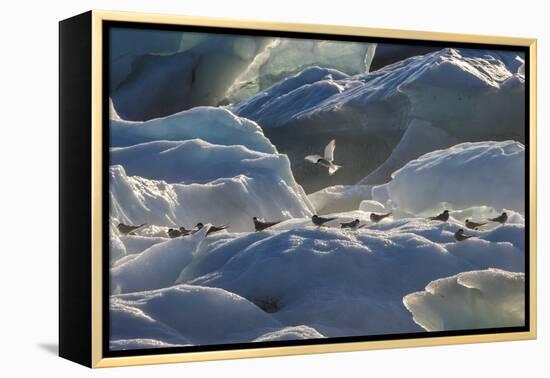 Iceland 6-Art Wolfe-Framed Premier Image Canvas