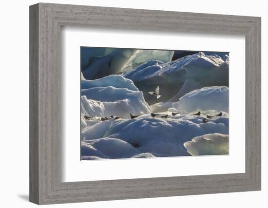 Iceland 6-Art Wolfe-Framed Photographic Print