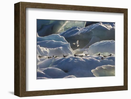 Iceland 6-Art Wolfe-Framed Photographic Print